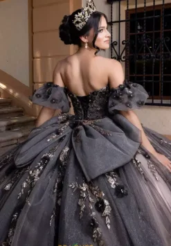 Vizcaya Quinceanera 4080022