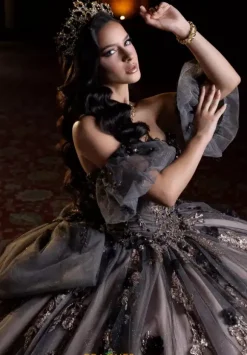 Vizcaya Quinceanera 4080022