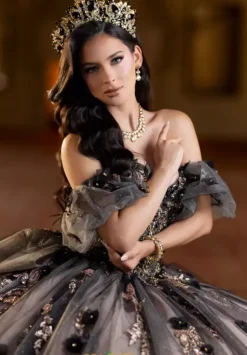 Vizcaya Quinceanera 4080022