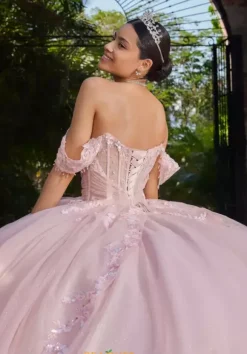 Vizcaya Quinceanera 89561