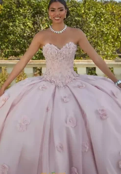 Vizcaya Quinceanera 60183