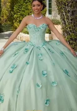 Vizcaya Quinceanera 60183