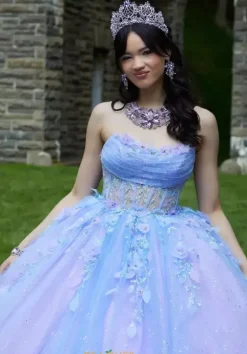 Vizcaya Quinceanera 89448