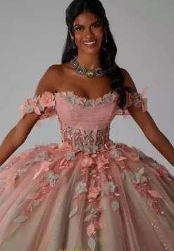 Vizcaya Quinceanera 89448