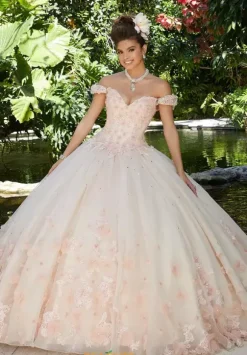 Vizcaya Quinceanera 34015
