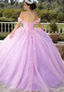 Vizcaya Quinceanera 60186