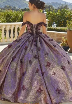 Vizcaya Quinceanera 89429