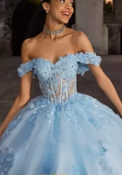 Vizcaya Quinceanera 89566