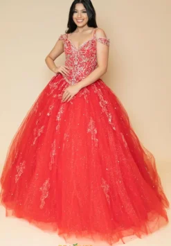 Vizcaya Quinceanera 89267