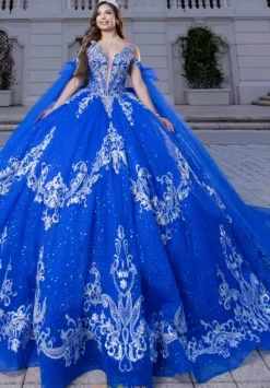 Vizcaya Quinceanera 4080028