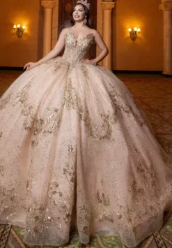 Vizcaya Quinceanera 4080028