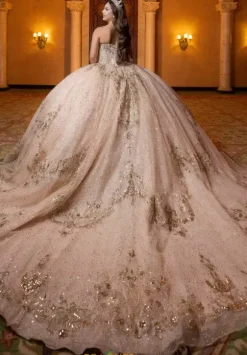 Vizcaya Quinceanera 4080028