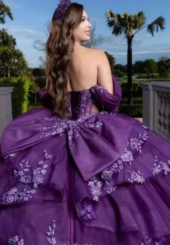 Vizcaya Quinceanera 4080027