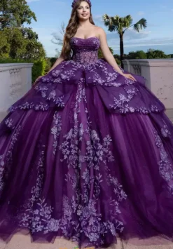 Vizcaya Quinceanera 4080027