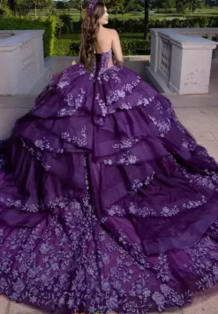 Vizcaya Quinceanera 4080027