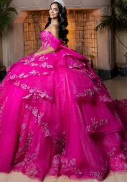 Vizcaya Quinceanera 4080027