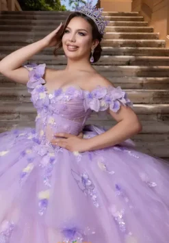 Vizcaya Quinceanera 4080017