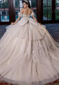 Vizcaya Quinceanera 4080017