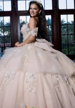 Vizcaya Quinceanera 4080017