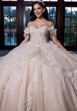 Vizcaya Quinceanera 4080017