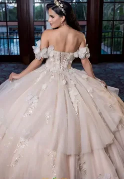 Vizcaya Quinceanera 4080017