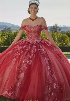 Vizcaya Quinceanera 34091