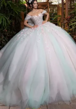 Vizcaya Quinceanera 4080001