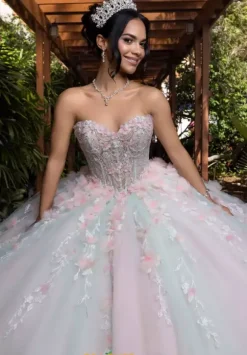 Vizcaya Quinceanera 4080001