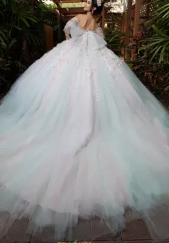 Vizcaya Quinceanera 4080001