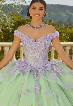 Vizcaya Quinceanera 89437