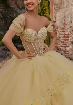Vizcaya Quinceanera 89554