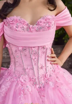 Vizcaya Quinceanera 89551