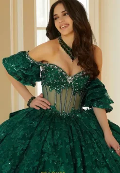 Vizcaya Quinceanera 34114