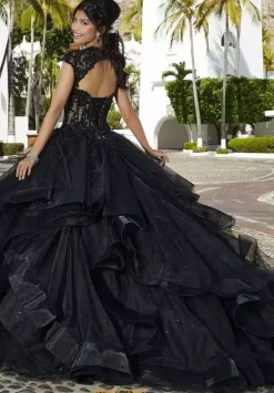 Vizcaya Quinceanera 60161