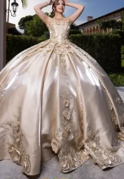 Vizcaya Quinceanera 4080033