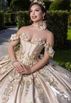 Vizcaya Quinceanera 4080033