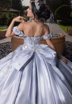 Vizcaya Quinceanera 4080033