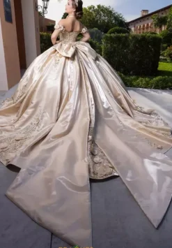 Vizcaya Quinceanera 4080033