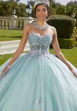 Vizcaya Quinceanera 89421