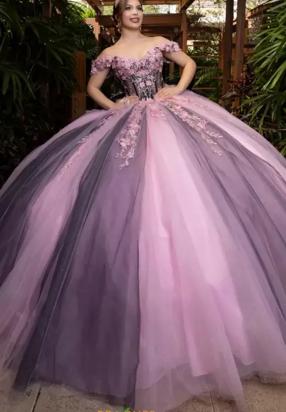 Vizcaya Quinceanera 4080018