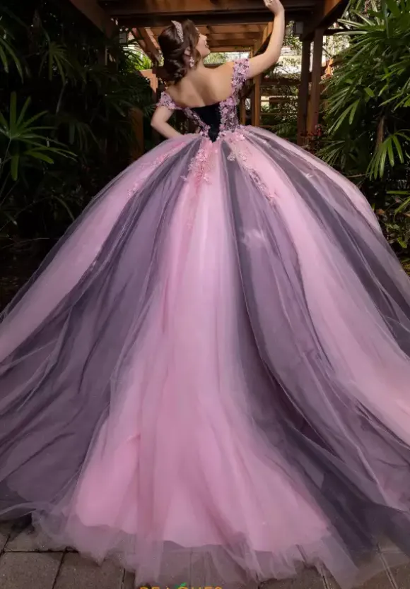 Vizcaya Quinceanera 4080018