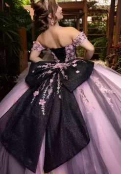 Vizcaya Quinceanera 4080018