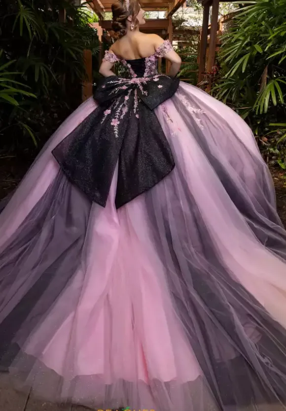 Vizcaya Quinceanera 4080018