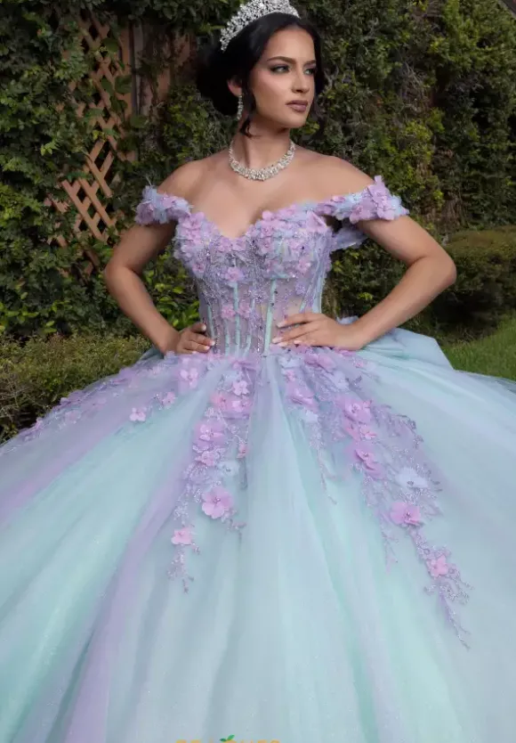 Vizcaya Quinceanera 4080018