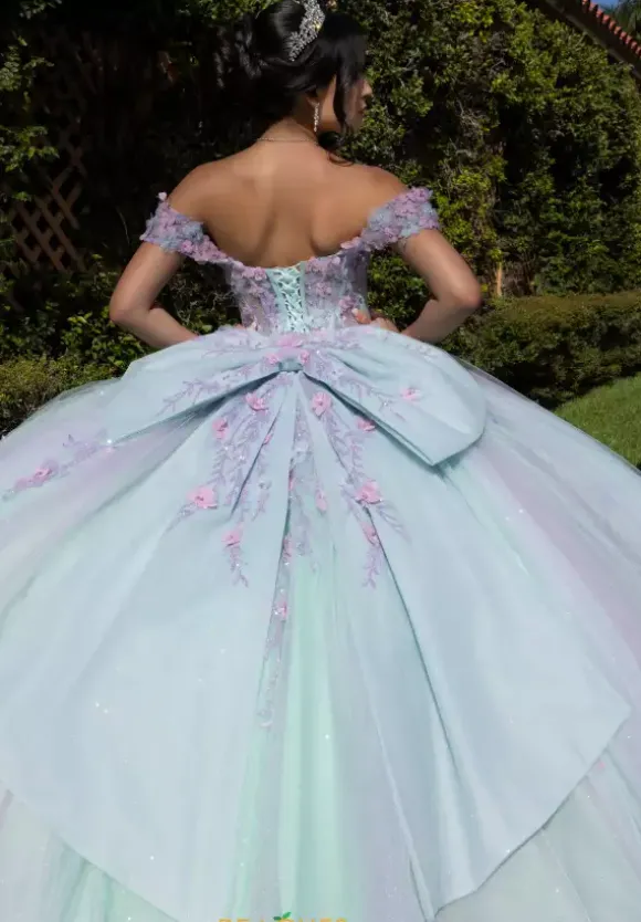 Vizcaya Quinceanera 4080018