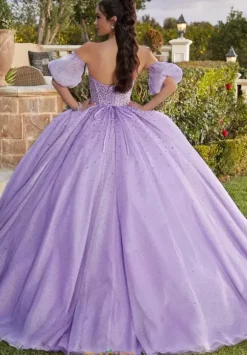 Vizcaya Quinceanera 89426
