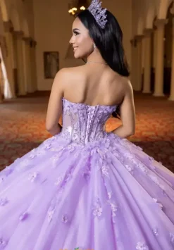 Vizcaya Quinceanera 4080024