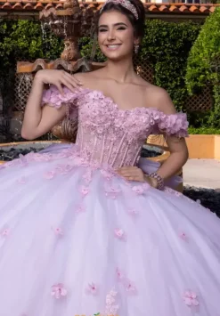 Vizcaya Quinceanera 4080024