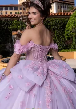 Vizcaya Quinceanera 4080024