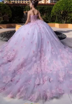 Vizcaya Quinceanera 4080024